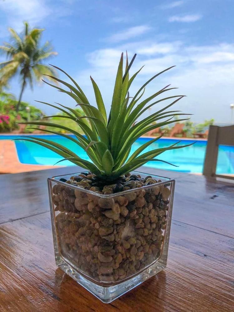 Hotel Mont Joli Cap-Haitien Ngoại thất bức ảnh